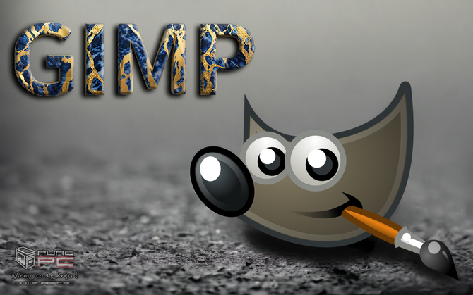 Gimp